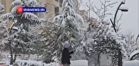 بارش برف و سفید پوش شدن بیشتر شهرستانهای استان تهران