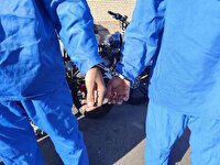 شناسایی ۱۴ مالخر و ۵۵ سارق در بردسیر