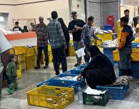 رونق اقتصادی در بازار جدید پروتئین و میوه و تره بار شیراز