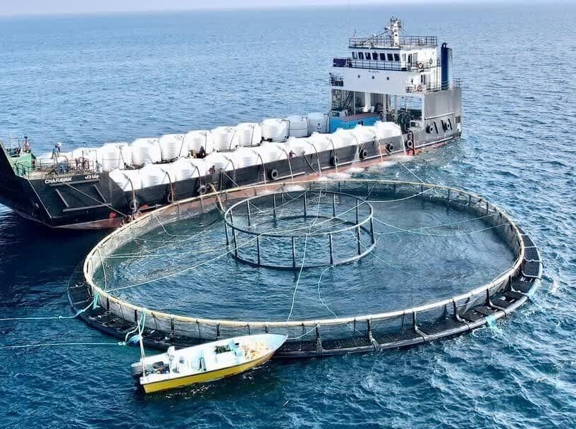 جایگاه ویژه خوزستان در حوزه فعالیت‌های دریایی