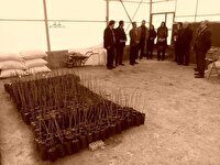 فعالیت ۶۰ شرکت دانش‌بنیان در چهارمحال و بختیاری