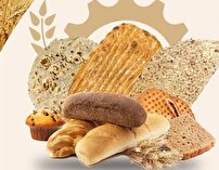 جای خالی نان کامل در سفره های مردم خراسان شمالی