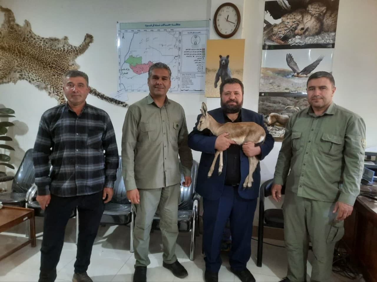 تحویل یک رأس بره آهو نر به دوستداران حیات وحش در سملقان تحویل یک رأس بره آهو نر به دوستداران حیات وحش در سملقان