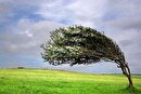 پیش بینی وزش باد گاهی شدید در آذربایجان غربی