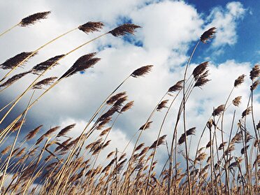 پیش بینی وقوع تندباد‌های لحظه‌ای و گرد و خاک محلی در خوزستان