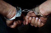 دستگیری سارق و کشف دو فقره در نهاوند