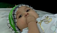برگزاری همایش شیرخوارگان مهدوی در بوشهر