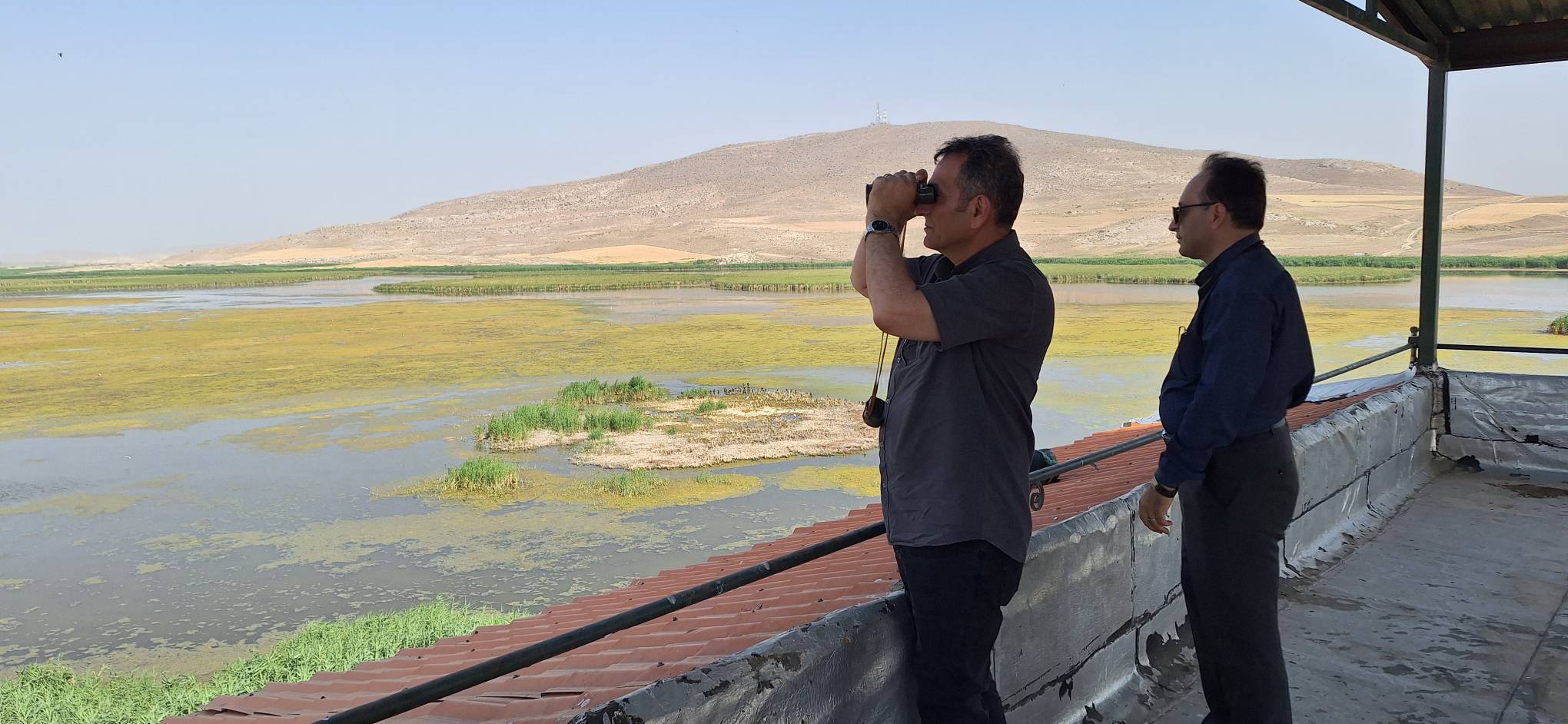 کم‌آبی، تهدیدی جدی برای پرندگان مهاجر تالاب کانی‌برازان