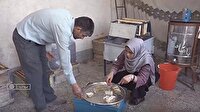 کار آفرینی بانوی توانمند بروجردی با زنبورداری