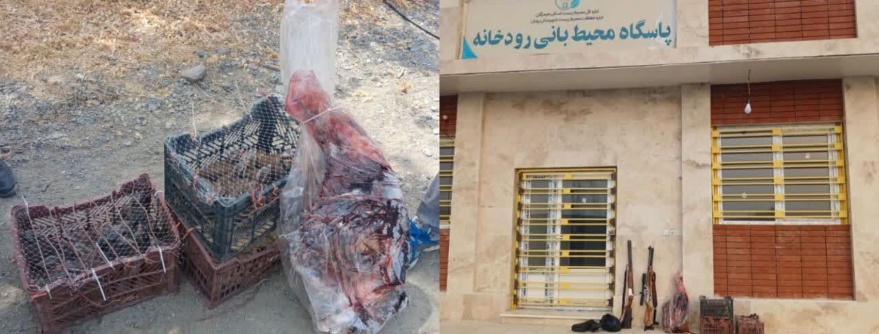دستگیری متخلف شکار و صید در رودان