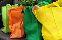 محمدیه؛ آغازگر یک تحول سبز