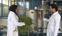 اجرای طرح «آسانسور رشد» برای کار آفرینی دانشجویان