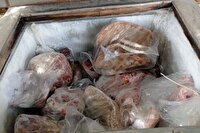 کشف لاشه گراز و الاغ با همکاری محیط زیست کرمان و هرمزگان