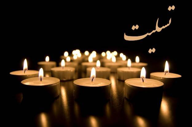 پیام تسلیت رئیس کمیسیون امنیت ملی در پی شهادت سردار غیب پرور