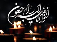 نماینده مردم فارس در مجلس خبرگان رهبری شهادت سردار غیب پرور را تسلیت گفت