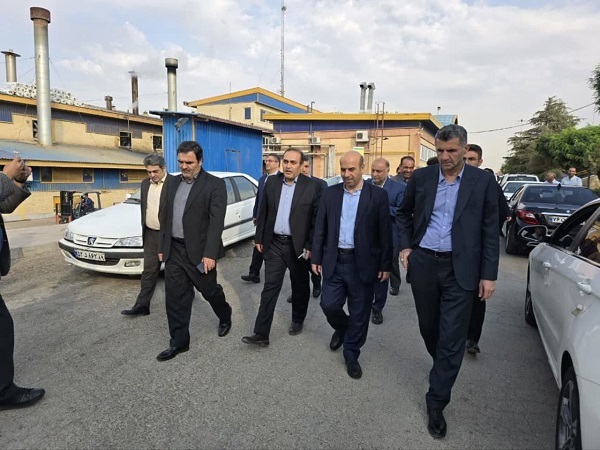 بازدید معاون وزیر نیرو از نیروگاه خورشیدی ۵ مگاواتی آبیک 
