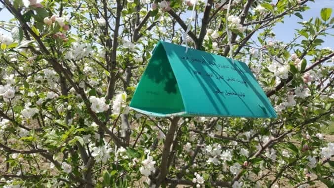 افزایش دقت در مبارزه با آفات باغی با استفاده از سامانه‌های پیش‌آگاهی در آذربایجان‌غربی