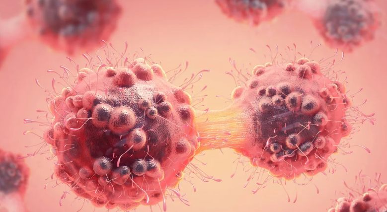 سرطان سرطان