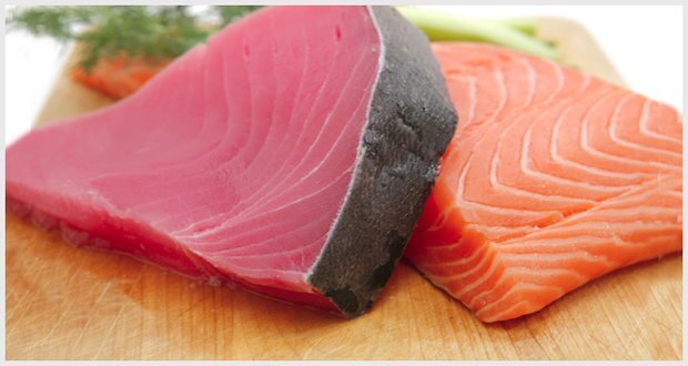 آغاز ثبت سفارش ماهی تن