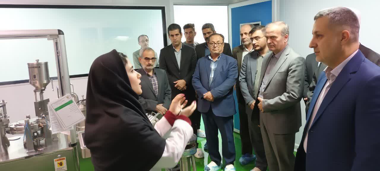 بررسی مشکلات یک واحد دانش بنیان در شهرستان نقده