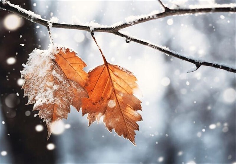 سلام طبیعت ارومیه به نخستین برف پاییزی