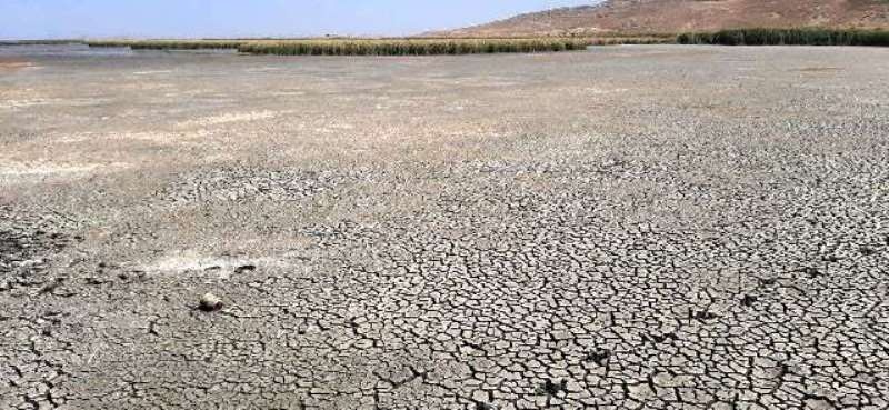 احیای دوباره تالاب بین المللی کانی‌برازان مهاباد