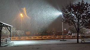 برف و باران در زنجان