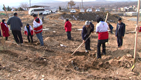 کاشت ۵۶۰ نهال در پویش «به نام مادر» در همدان