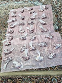 توزیع بسته‌های گوشت بین نیازمندان در آباده